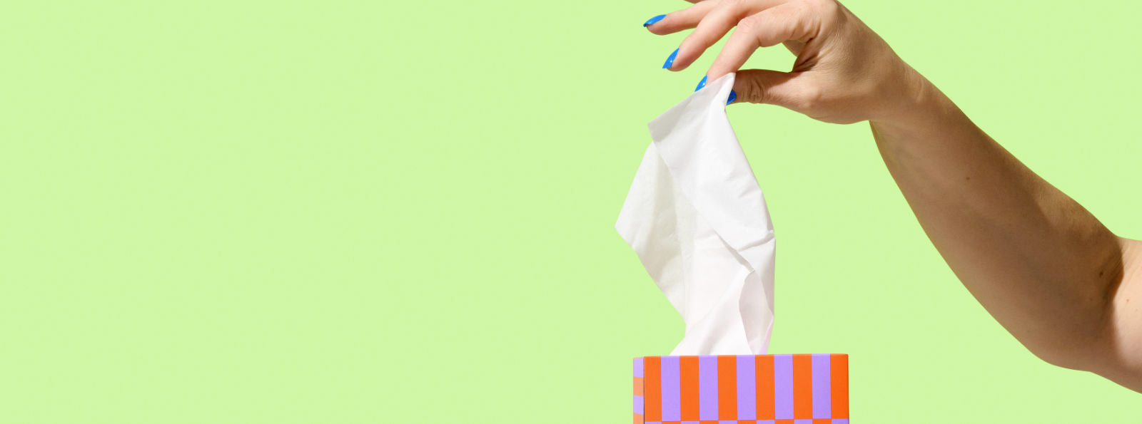 Collection banner image
