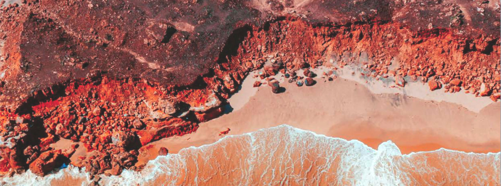 Collection banner image