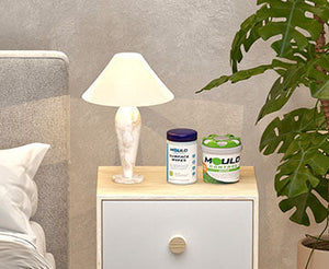Breathe Cleaner, Naturally: How San-Air Keeps Guest Rooms Mould-Free