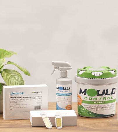 Mould Removal & Remediation